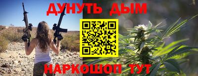 индика Будённовск