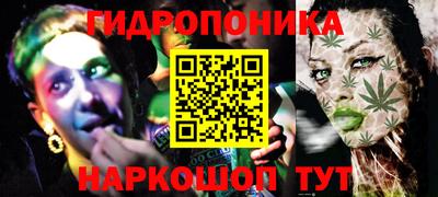 индика Будённовск