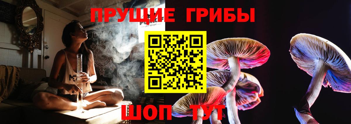 где найти   Галлюциногенные грибы Psilocybe  Вход с VPN  Серпухов 